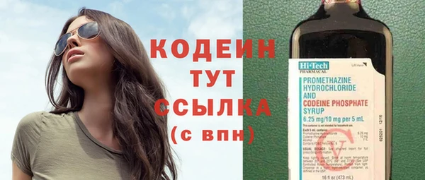 прущие грибы Абинск