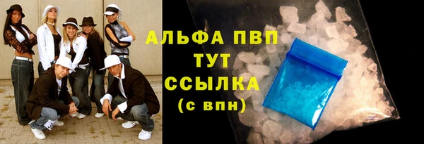 прущие грибы Абинск