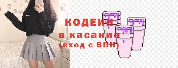 прущие грибы Абинск