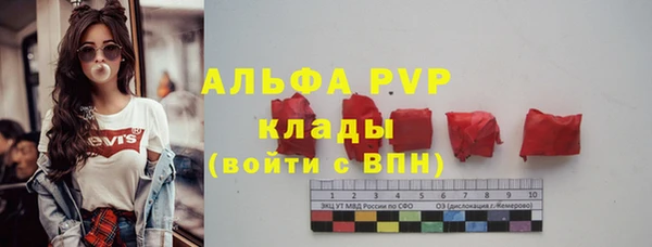 прущие грибы Абинск